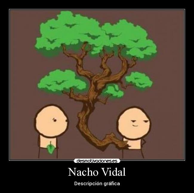 Nacho Vidal - Descripción gráfica