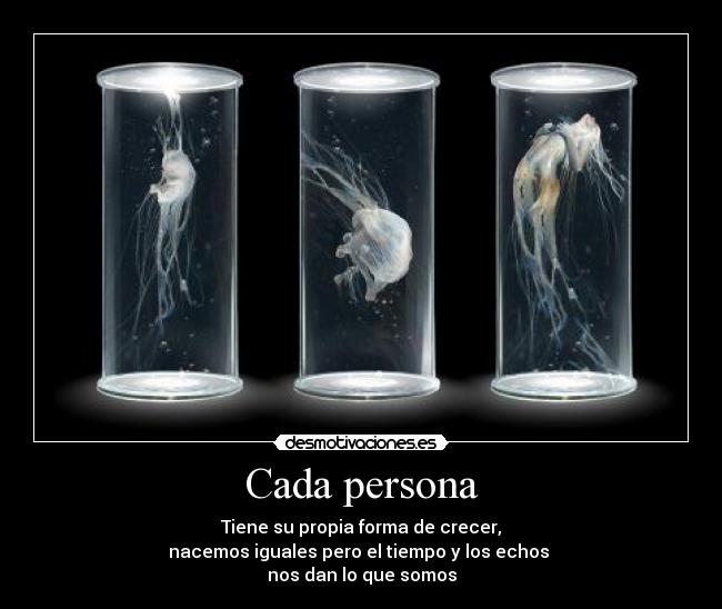 Cada persona - 