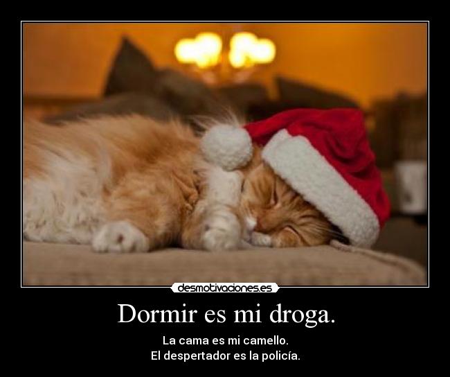 carteles dormir dormir droga cama despertador desmotivaciones