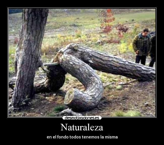 carteles naturaleza arboles follando naturaleza igual albiitaa5 desmotivaciones