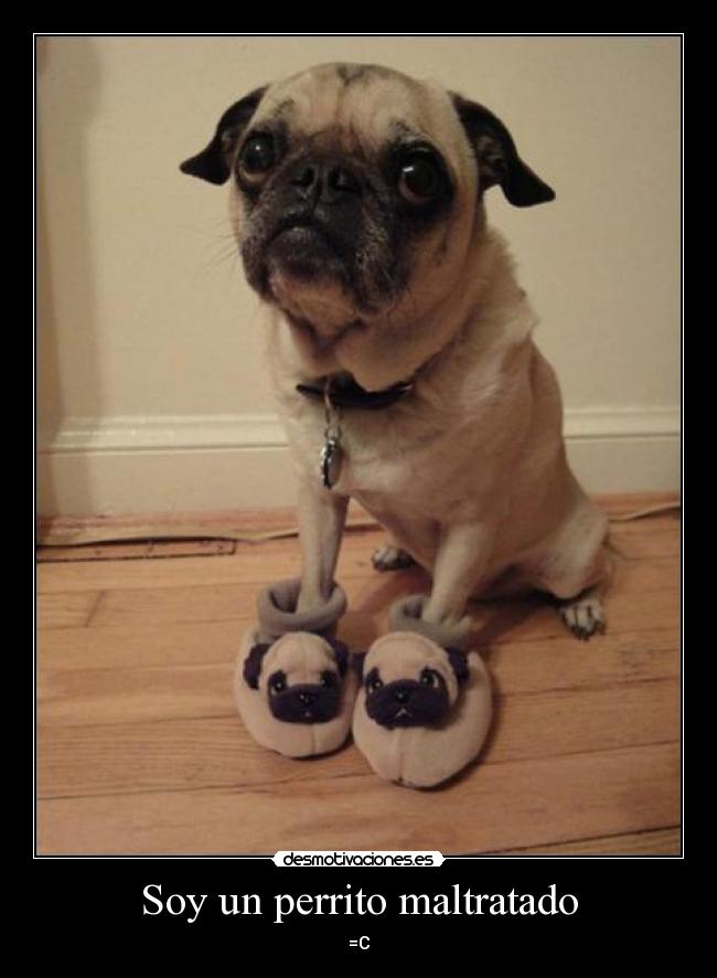 Soy un perrito maltratado - =C