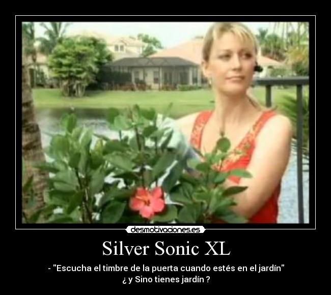 Silver Sonic XL - 