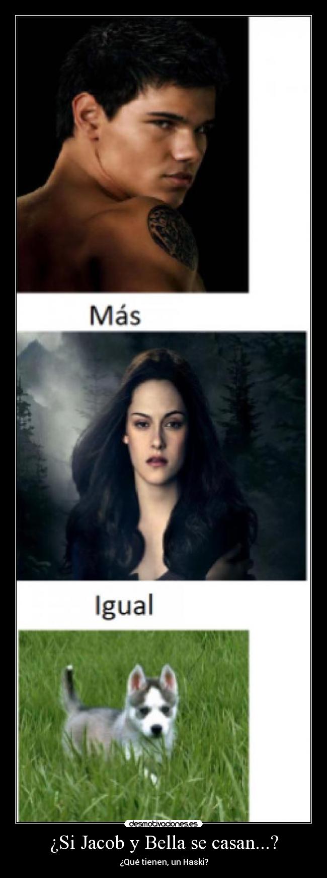 ¿Si Jacob y Bella se casan...? -