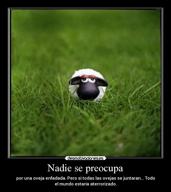 Nadie se preocupa - 