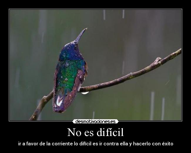 No es difícil - 