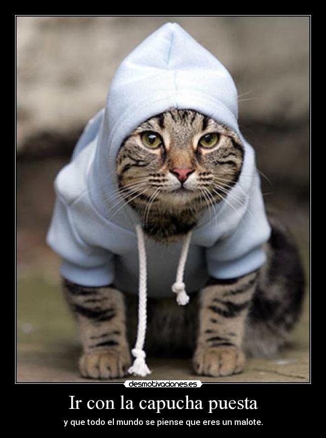 Ir con la capucha puesta - y que todo el mundo se piense que eres un malote.