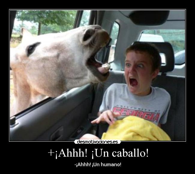 +¡Ahhh! ¡Un caballo! -