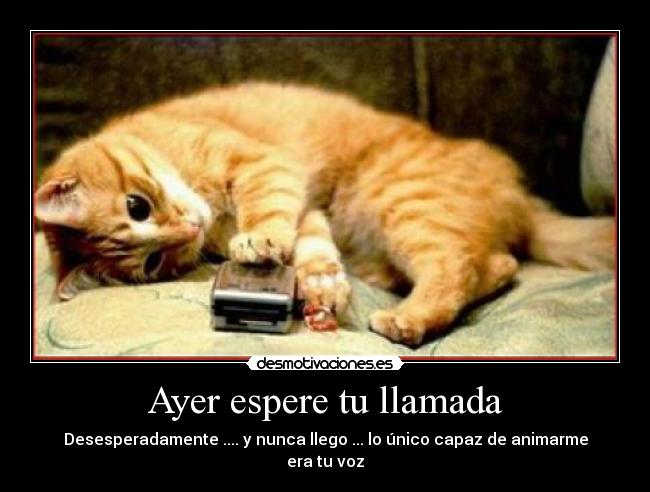 carteles porque este momento soledad llamada llego sabiendo como sentia desmotivaciones