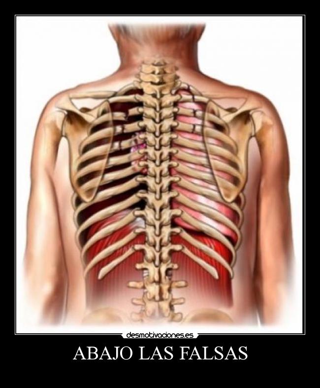 ABAJO LAS FALSAS - 