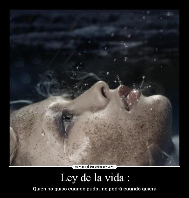 Ley de la vida : - 