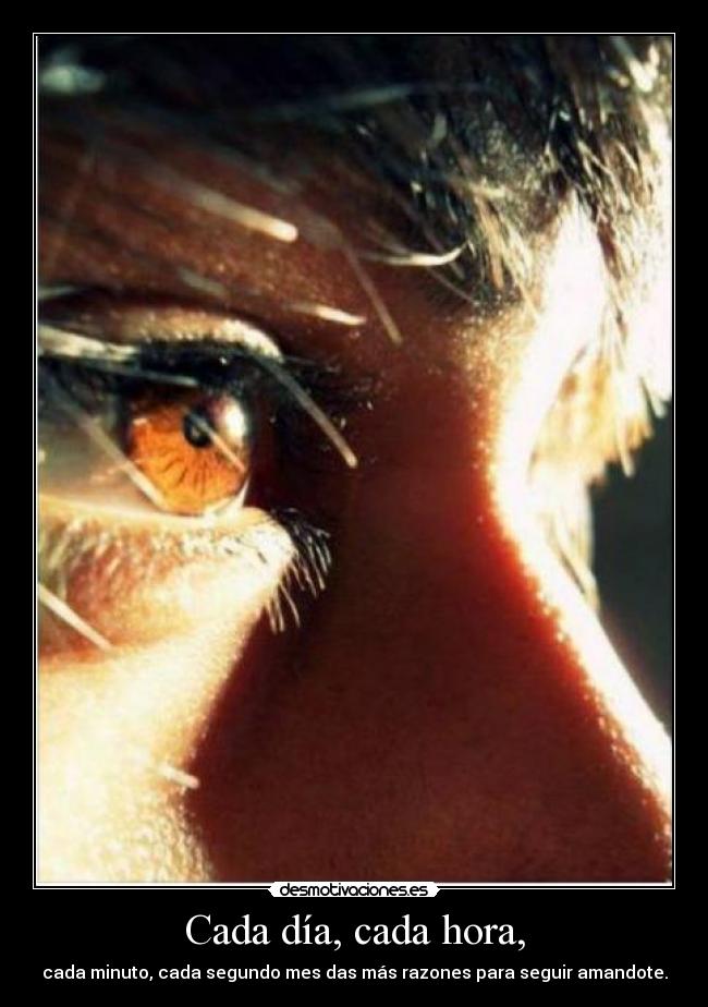 carteles clanvirus elclanviral bollicao nomiresaqui dias sentimentales amor eterno carajo desmotivaciones