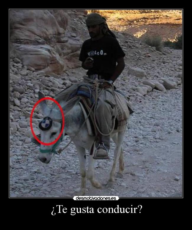 ¿Te gusta conducir? - 