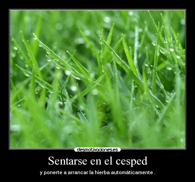 Sentarse en el cesped - 