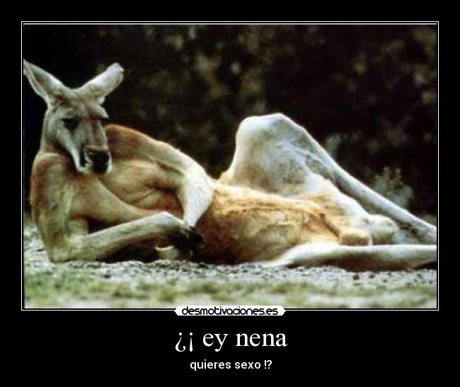 ¿¡ ey nena - quieres sexo !?