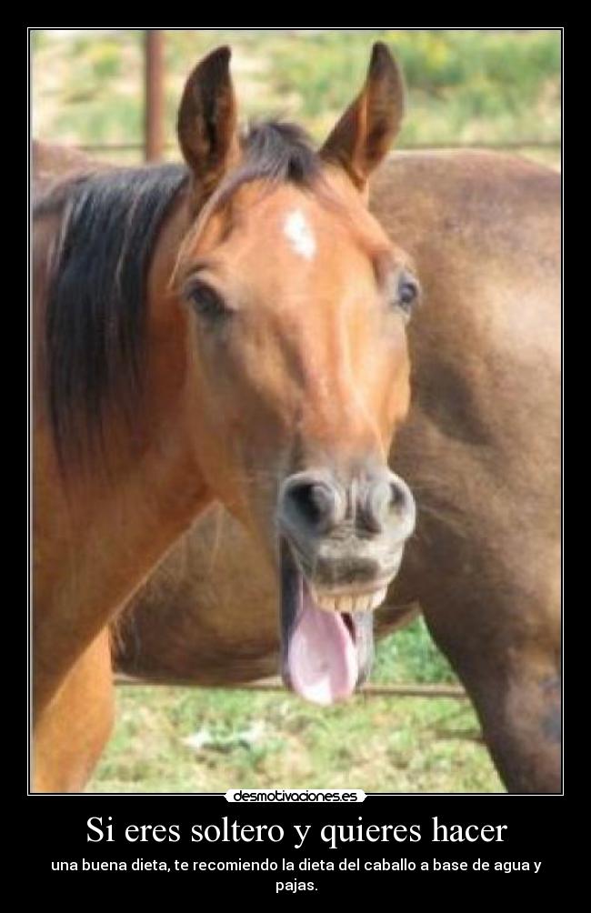 Si eres soltero y quieres hacer -