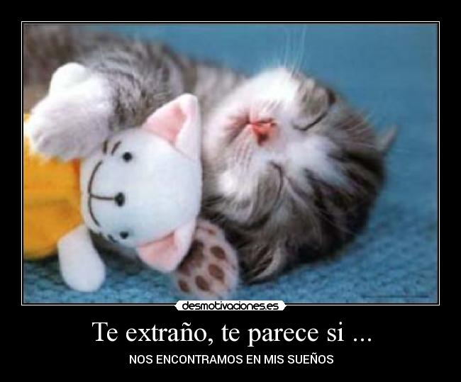 carteles extranar desmotivaciones