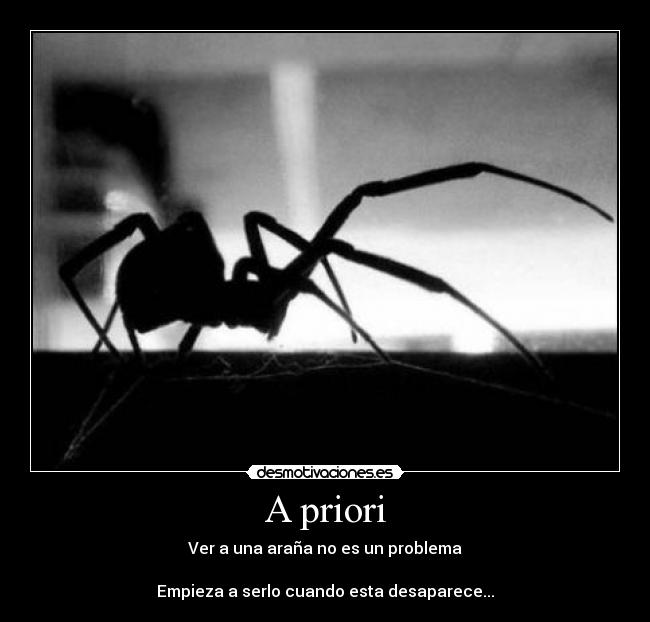 carteles aranas desmotivaciones