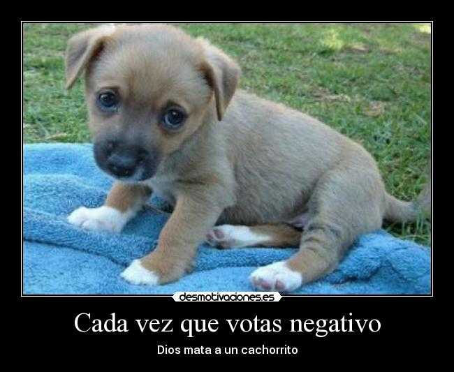 Cada vez que votas negativo -