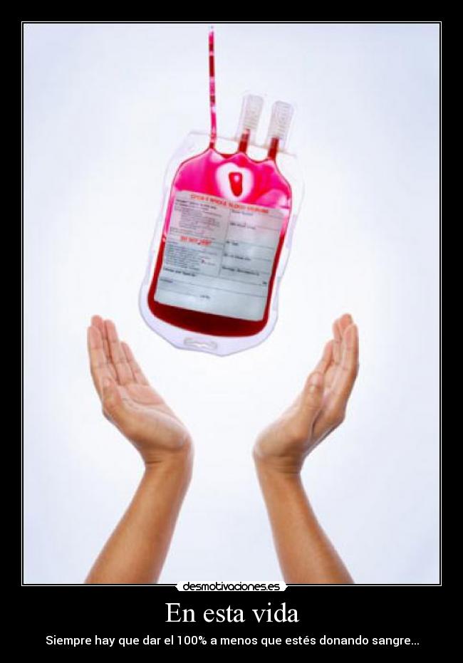 carteles vida 100 desmotivaciones