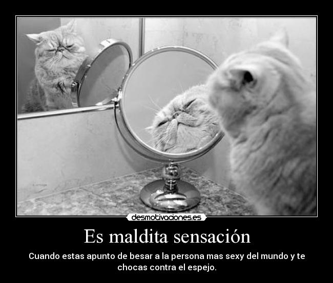 Es maldita sensación - Cuando estas apunto de besar a la persona mas sexy del mundo y te
chocas contra el espejo.