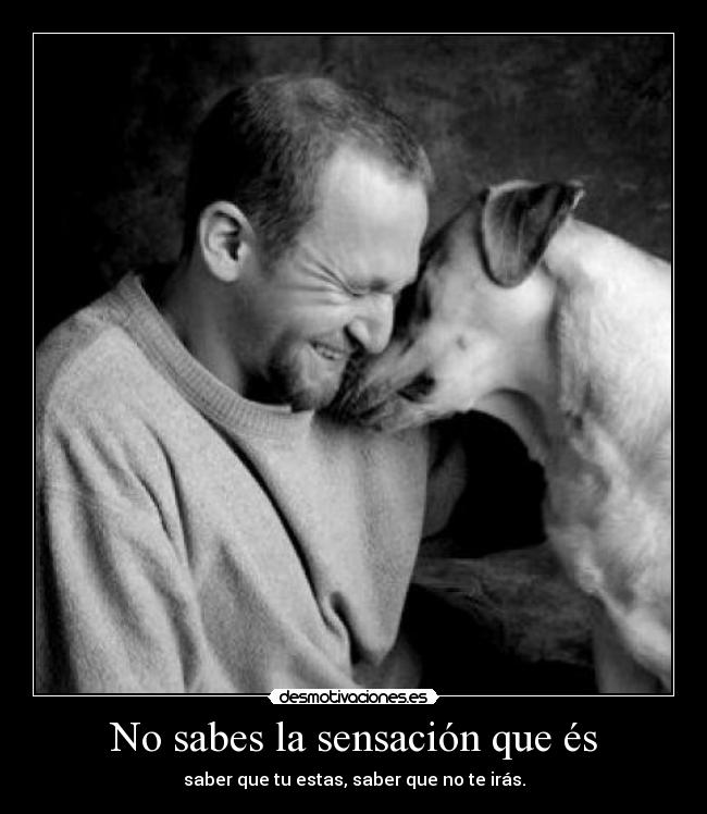 No sabes la sensación que és - 