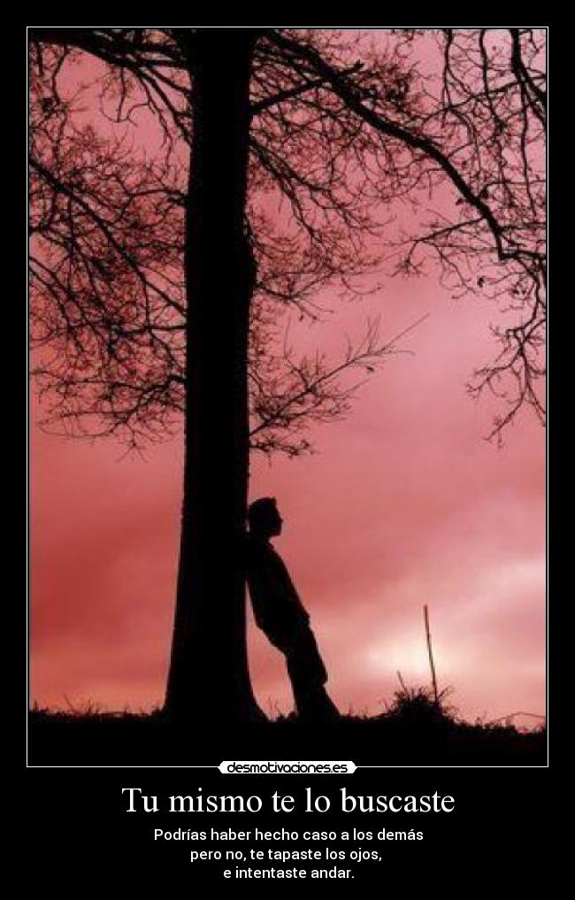 Tu mismo te lo buscaste - Podrías haber hecho caso a los demás
pero no, te tapaste los ojos, 
e intentaste andar.