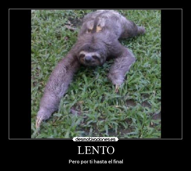 LENTO -