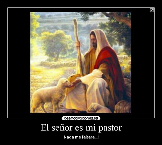 carteles neida desmotivaciones