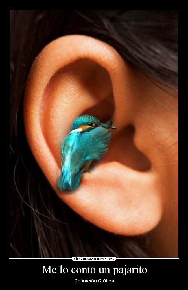 Me lo contó un pajarito -