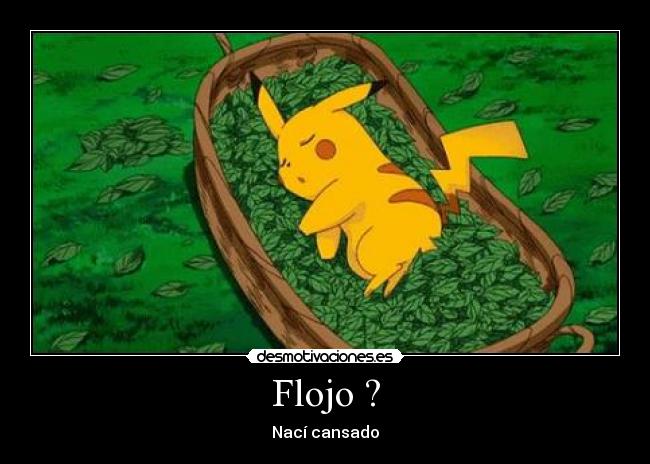 Flojo ? -