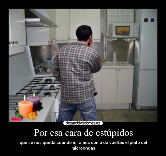 Por esa cara de estúpidos - que se nos queda cuando miramos como da vueltas el plato del microondas