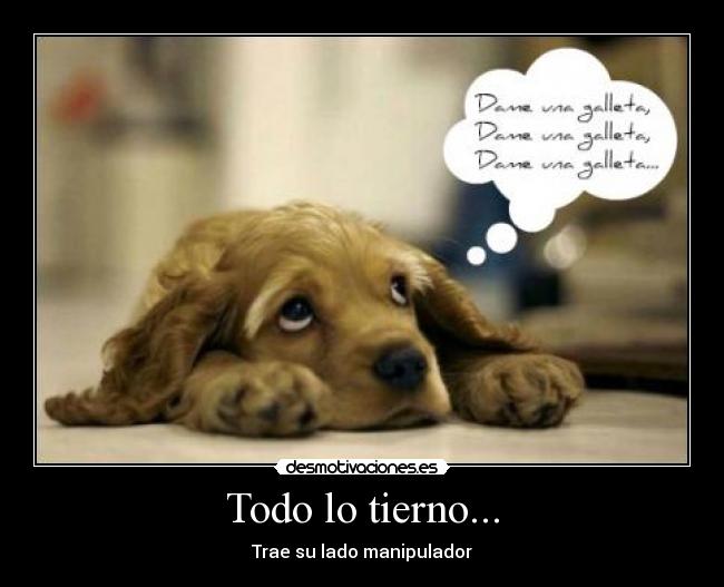 Todo lo tierno... - 