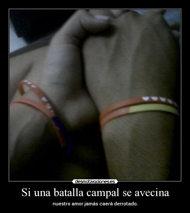 Si una batalla campal se avecina - 