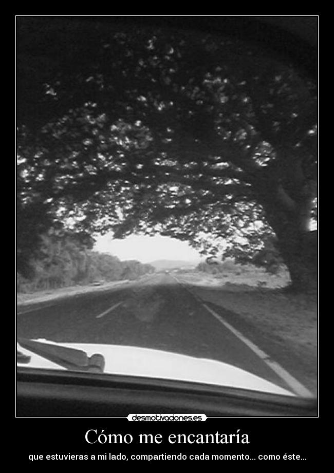 Cómo me encantaría - que estuvieras a mi lado, compartiendo cada momento... como éste...