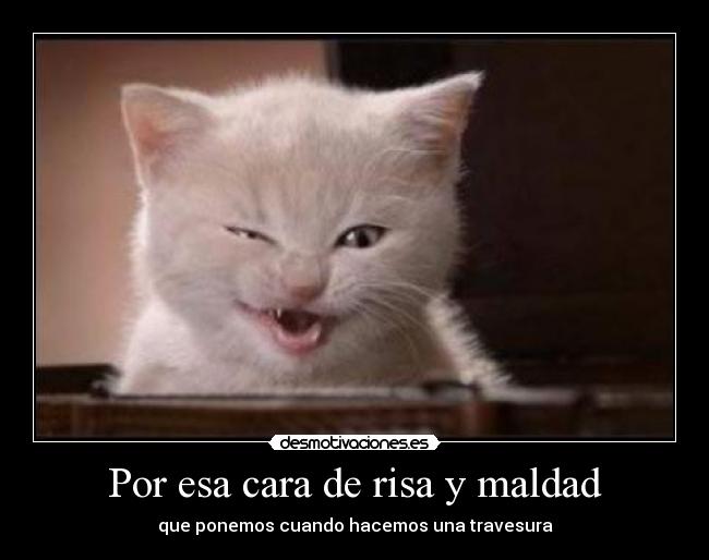 Por esa cara de risa y maldad -