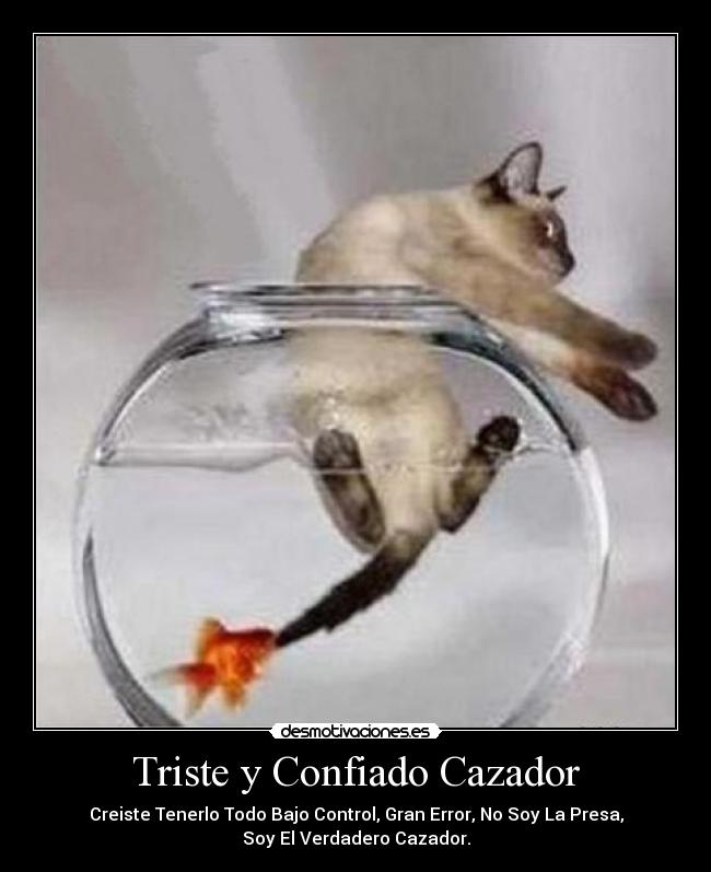Triste y Confiado Cazador - Creiste Tenerlo Todo Bajo Control, Gran Error, No Soy La Presa,
Soy El Verdadero Cazador.