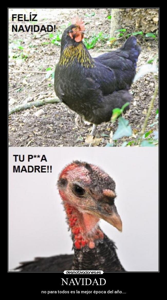 carteles navidad navidad pavo pollo troll cabron epoca ano invierno fiesta comida desmotivaciones