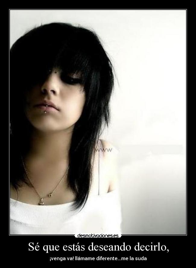 carteles disshh desmotivaciones