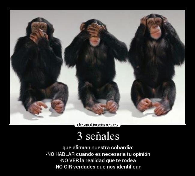 3 señales -
