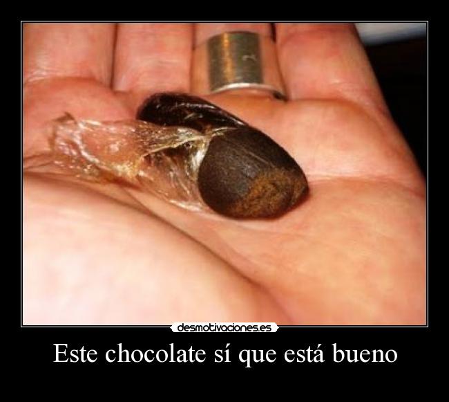 Este chocolate sí que está bueno - 