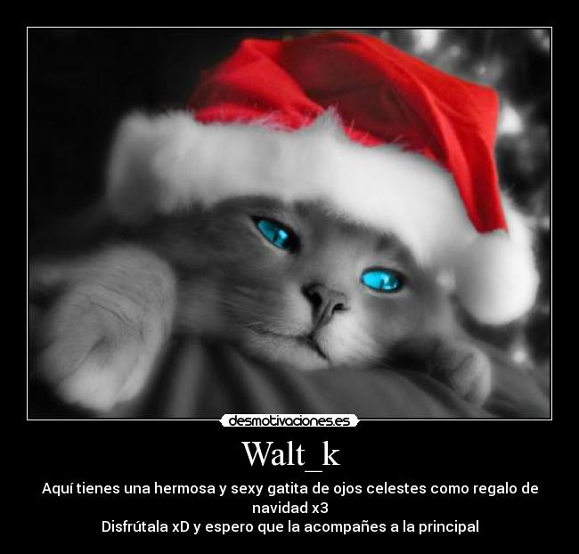 Walt_k - 