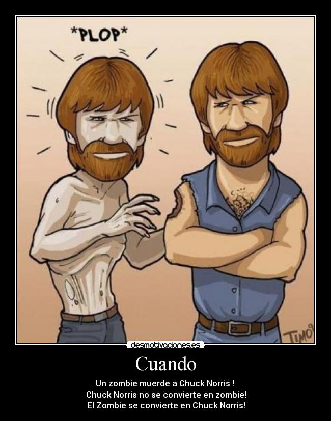 carteles chuck norris homor desmotivaciones