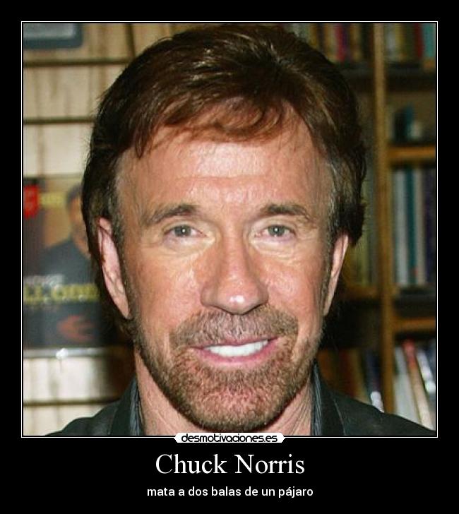 Chuck Norris - mata a dos balas de un pájaro