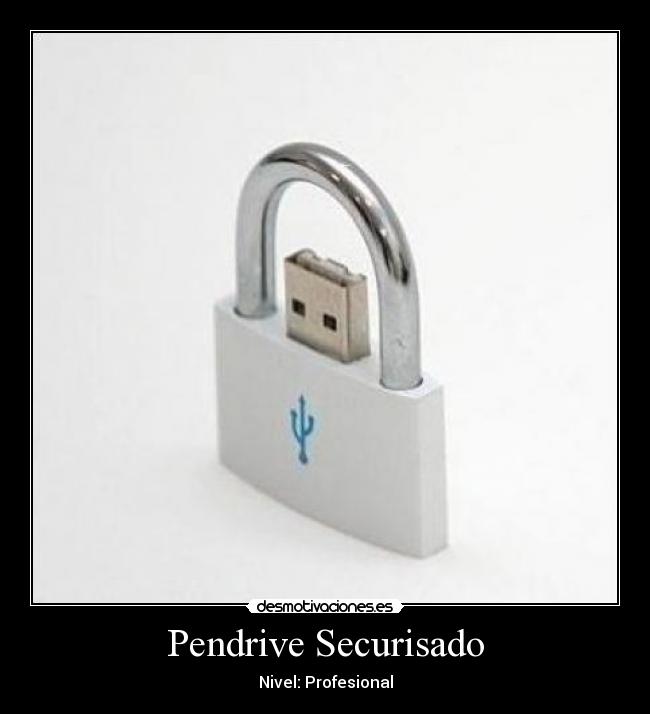 Pendrive Securisado - Nivel: Profesional