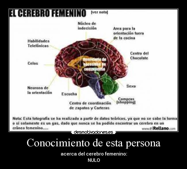 Conocimiento de esta persona - acerca del cerebro femenino:
NULO