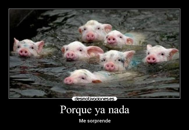 Porque ya nada - Me sorprende