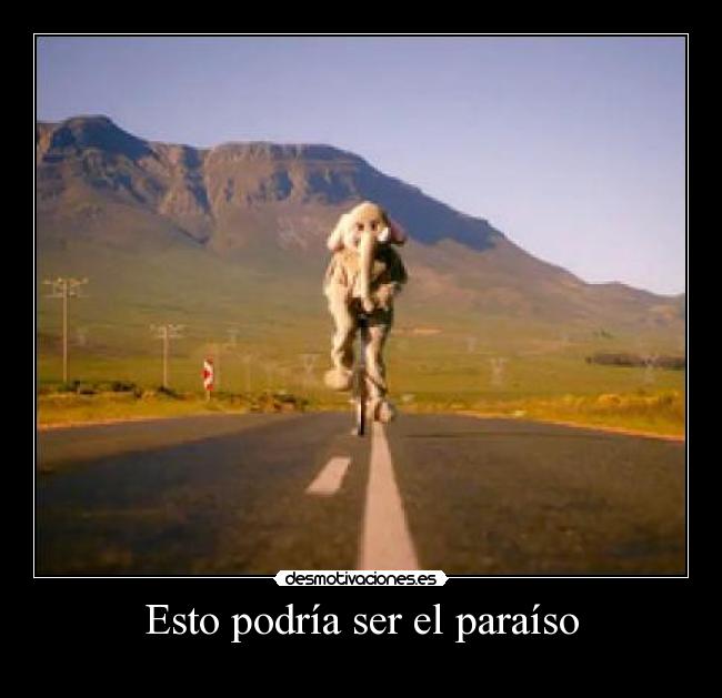 Esto podría ser el paraíso - 