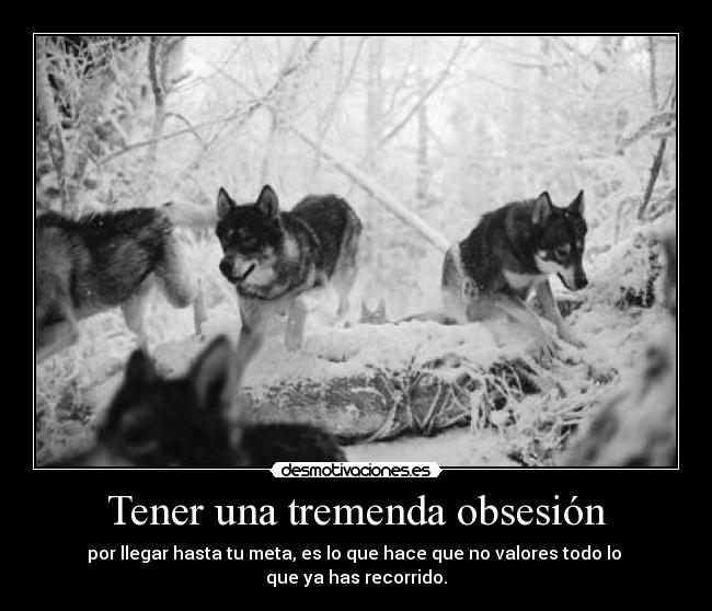 Tener una tremenda obsesión -