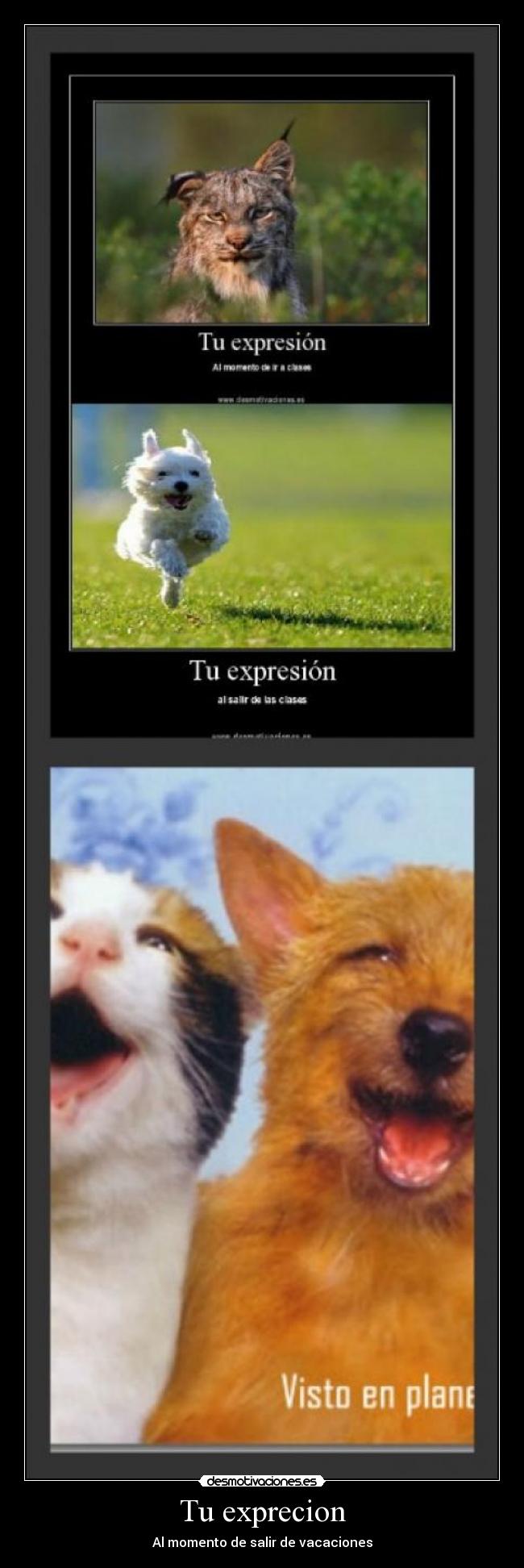 Tu exprecion - Al momento de salir de vacaciones