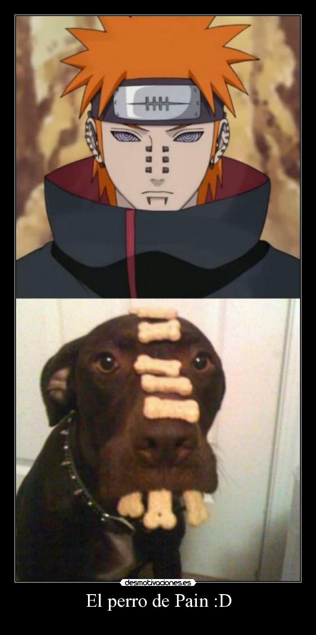 El perro de Pain :D - 